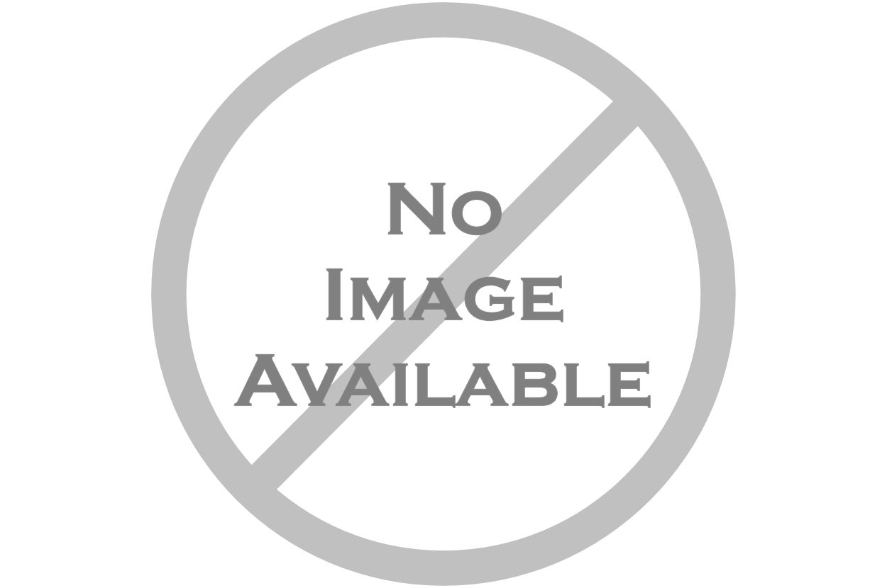 New Honda Wave 110cc 2019 (10 USD )